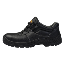 Armour Safety Shoe